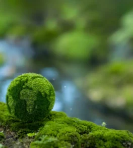 EcoGreen Australia