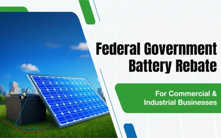 government battery rebate